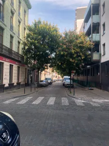 Narrow cobblestone street with parked cars, leafy trees, and mixed architecture, including a building with a “LE Foyer” sign