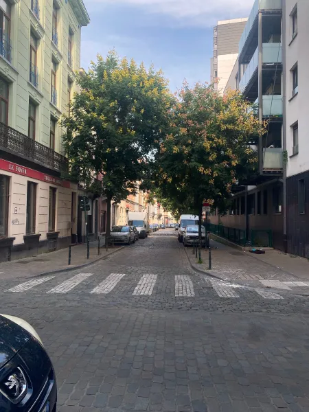 Narrow cobblestone street with parked cars, leafy trees, and mixed architecture, including a building with a “LE Foyer” sign