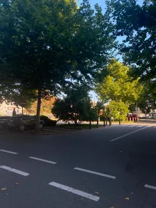 A dimly lit crossroad surronded by trees with a sunny backdrop.