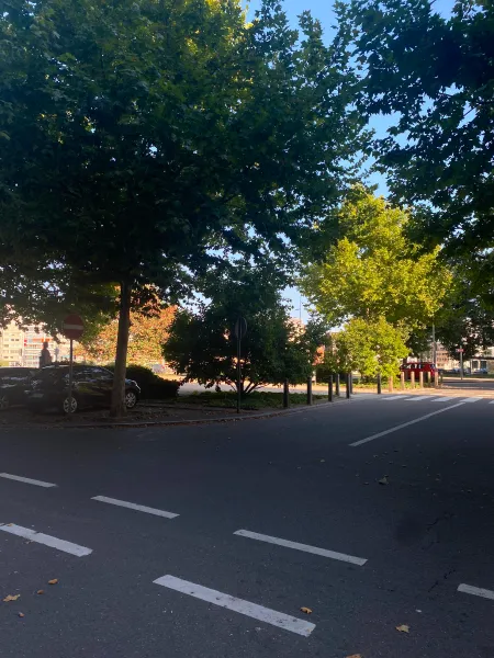 A dimly lit crossroad surronded by trees with a sunny backdrop.
