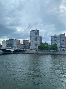 The bottom half of the image is a blueish grey river with a bridge in the left. On the other bank you can see a group of buildings of varying sizes and some river boarding trees. The sky is grey and cloudy.