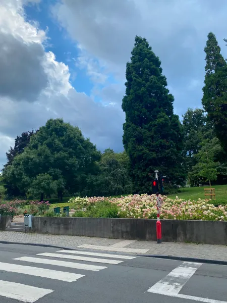 The bottom third of the picture is a crosswalk with a red light. On the other side of the crosswalk is a park with many flowers and trees. The sky is blue but cloudy.