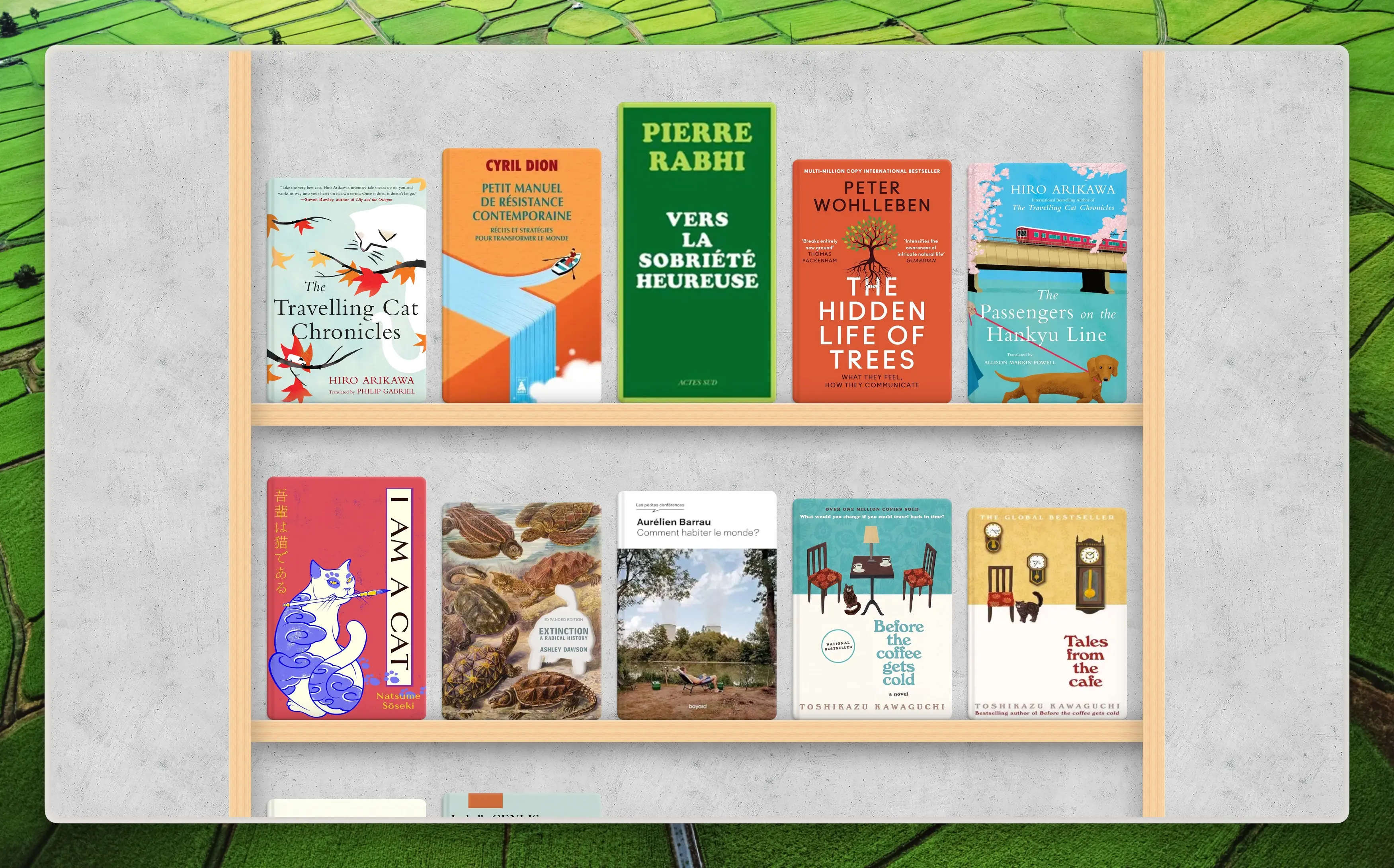 A picture of my books site. It's a modern looking wooden bookshelf with books facing you. The background wall is made out of concrete.