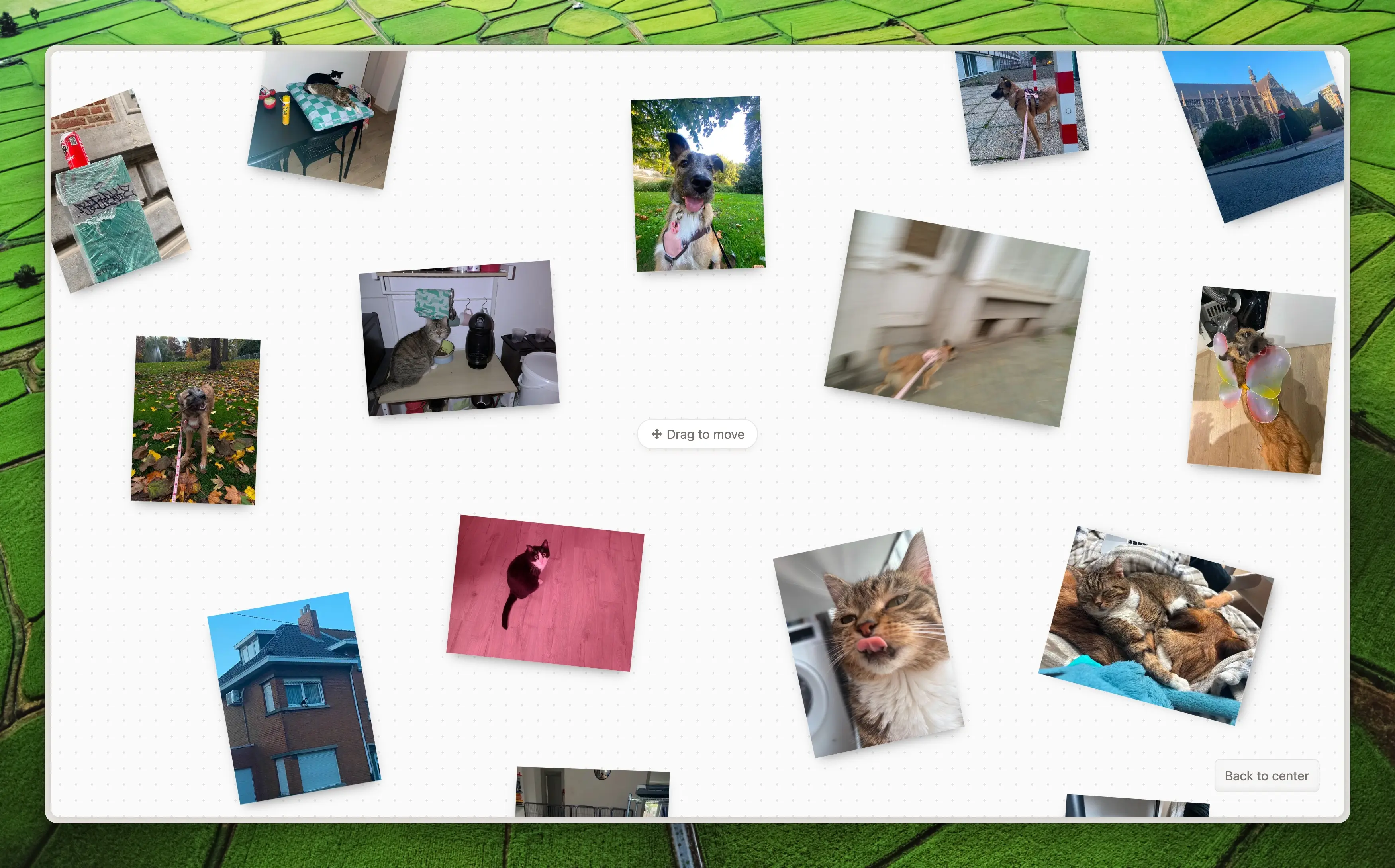 A picture of my memories website. It's a large dotted canvas with images you can drag around.