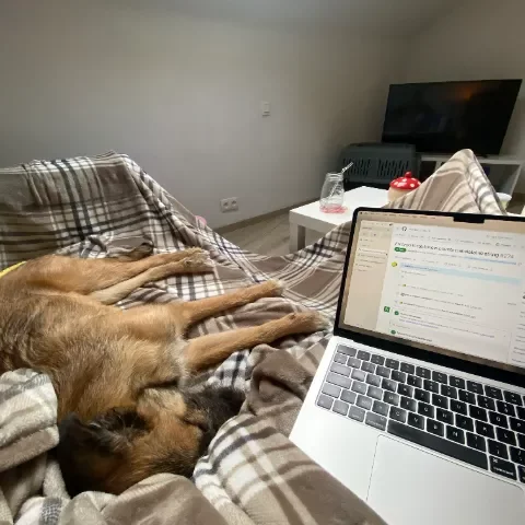 My dog Neko sleeping by my side on a blanket in the sofa while I work on my computer.