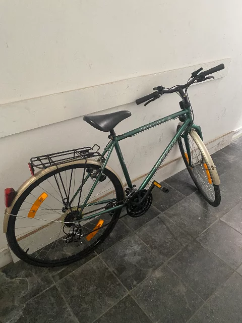My old bottle green bike against the wall in my hallway.